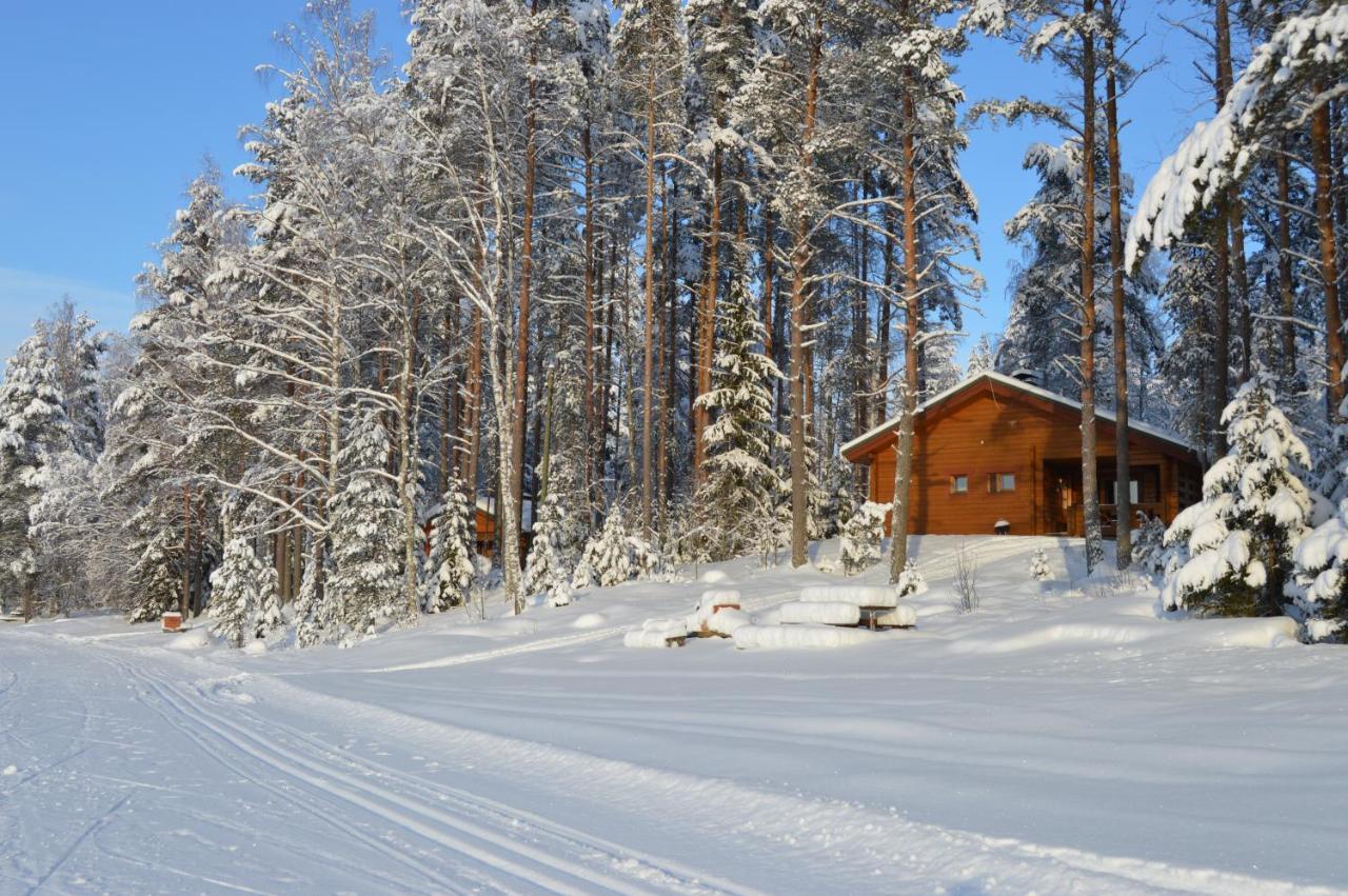 Rinnepelto Holiday Cottages Тахко Екстер'єр фото